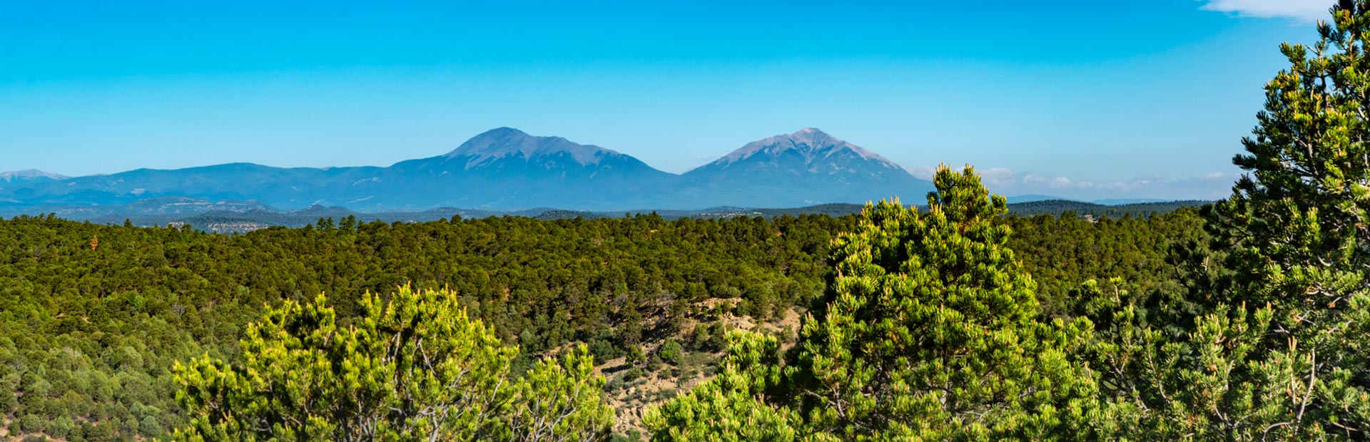 Rocky Mountain Land for Sale in Colorado
